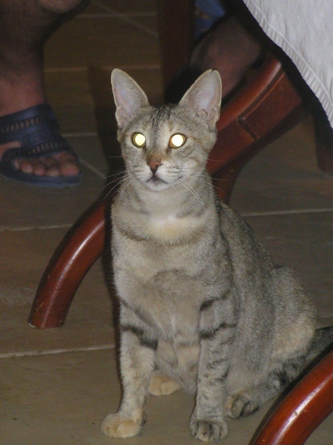 ,     