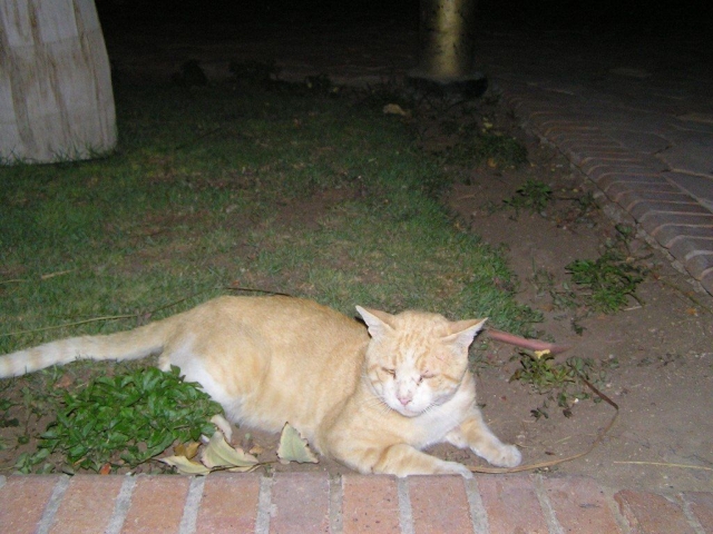 ,     