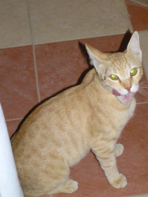 ,     