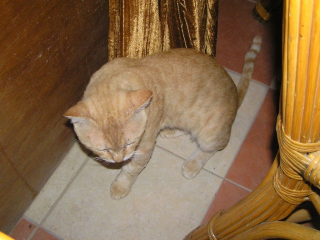 ,     