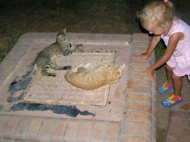 ,     