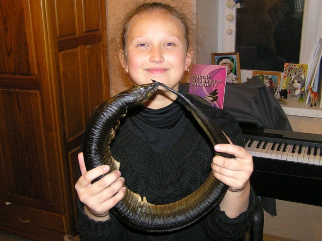 ,     