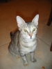 Файл=DSCF0148.jpg
Объём=122KB
Размеры=768x1024
Дата=Июль 14, 2011 DSCF0148.jpg