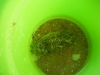 Файл=DSCF0333.jpg
Объём=73KB
Размеры=1024x768
Дата=Июль 14, 2011 DSCF0333.jpg