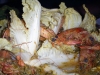 Файл=DSCF0352.jpg
Объём=137KB
Размеры=1024x768
Дата=Июль 20, 2011 DSCF0352.jpg
