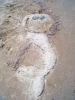 Файл=DSCF0410.jpg
Объём=750KB
Размеры=1728x2304
Дата=Июль 14, 2011 DSCF0410.jpg