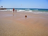 Файл=DSCF0533.jpg
Объём=538KB
Размеры=2304x1728
Дата=Июль 14, 2011 DSCF0533.jpg