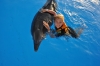 Файл=DSC_0255.JPG
Объём=89KB
Размеры=1024x680
Дата=Июль 17, 2011 DSC_0255.JPG
