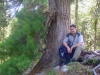 Файл=P7250034.JPG
Объём=405KB
Размеры=1024x768
Дата=Июль 27, 2009 P7250034.JPG