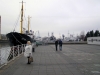 Файл=PB220134.JPG
Объём=119KB
Размеры=1024x768
Дата=Нояб 30, 2011 PB220134.JPG