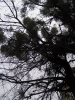 Файл=PB240031.JPG
Объём=307KB
Размеры=768x1024
Дата=Нояб 30, 2011 PB240031.JPG