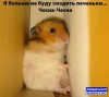 Файл=1186494003_homyk.jpg
Объём=29KB
Размеры=449x402
Дата=Авг 14, 2007 1186494003_homyk.jpg