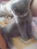 Файл=DSC00206.JPG
Объём=800KB
Размеры=1536x2048
Дата=Сент 30, 2008 DSC00206.JPG