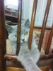 Файл=DSC00308.JPG
Объём=137KB
Размеры=480x640
Дата=Сент 30, 2008 DSC00308.JPG