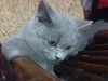 Файл=DSC00331.JPG
Объём=129KB
Размеры=640x480
Дата=Сент 30, 2008 DSC00331.JPG