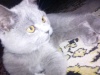 Файл=DSC00435.JPG
Объём=387KB
Размеры=2048x1536
Дата=Сент 30, 2008 DSC00435.JPG
