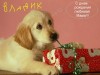 Файл=Wallpaper.JPG
Объём=85KB
Размеры=1024x768
Дата=Янв 24, 2006 Wallpaper.JPG