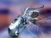 u2_4904.jpg