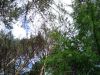 Файл=DSC02839.jpg
Объём=311KB
Размеры=800x600
Дата=Дек 27, 2005 DSC02839.jpg
