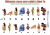 Файл=utp.jpg
Объём=68KB
Размеры=800x553
Дата=Нояб 20, 2007 utp.jpg