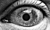 Файл=37380074872363a0e06fp8.jpg
Объём=100KB
Размеры=500x302
Дата=Март 25, 2007 37380074872363a0e06fp8.jpg