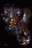 Файл=CRW_5895_litl.jpg
Объём=93KB
Размеры=464x701
Дата=Март 22, 2007 CRW_5895_litl.jpg