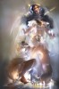 Файл=CRW_6348-3_litl.jpg
Объём=123KB
Размеры=508x768
Дата=Март 22, 2007 CRW_6348-3_litl.jpg