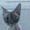 Файл=bdxcaepg.gif
Объём=79KB
Размеры=210x210
Дата=Март 21, 2007 bdxcaepg.gif