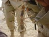 Файл=camel_spider_sm.jpg
Объём=21KB
Размеры=400x300
Дата=Май 23, 2007 camel_spider_sm.jpg