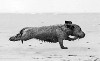 Файл=jmcbbvbn.gif
Объём=92KB
Размеры=200x122
Дата=Март 23, 2007 jmcbbvbn.gif