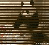 Файл=panda.gif
Объём=242KB
Размеры=263x240
Дата=Апр 25, 2007 panda.gif