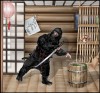shinobi.jpg