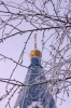 Файл=2009_02_01_IMG_003491.jpg
Объём=343KB
Размеры=683x1024
Дата=Фев 03, 2009 2009_02_01_IMG_003491.jpg