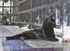Файл=IMG_0597.jpg
Объём=334KB
Размеры=867x650
Дата=Нояб 19, 2007 IMG_0597.jpg