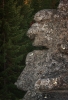 Файл=IMG_1306.jpg
Объём=493KB
Размеры=817x1200
Дата=Окт 15, 2010 IMG_1306.jpg