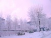 Файл=IMG_3219.jpg
Объём=282KB
Размеры=1024x768
Дата=Июль 18, 2006 IMG_3219.jpg