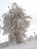 Файл=IMG_3223.jpg
Объём=270KB
Размеры=768x1024
Дата=Июль 18, 2006 IMG_3223.jpg