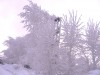 Файл=IMG_3234_bright_mgnta.jpg
Объём=309KB
Размеры=1024x768
Дата=Июль 18, 2006 IMG_3234_bright_mgnta.jpg