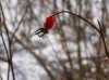 IMG_3257.jpg
