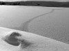 IMG_3274.jpg