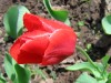 Файл=IMG_6642.jpg
Объём=215KB
Размеры=866x650
Дата=Июнь 05, 2007 IMG_6642.jpg