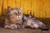 Файл=IMG_6646.jpg
Объём=505KB
Размеры=1200x800
Дата=Июль 01, 2010 IMG_6646.jpg