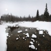 Файл=jigalan-6.jpg
Объём=289KB
Размеры=1024x1024
Дата=Дек 01, 2008 jigalan-6.jpg