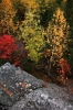 Файл=pano6.jpg
Объём=759KB
Размеры=800x1200
Дата=Окт 14, 2010 pano6.jpg