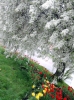 Файл=0_4181a_d718ce46_orig.jpg
Объём=427KB
Размеры=800x1067
Дата=Апр 23, 2010 0_4181a_d718ce46_orig.jpg