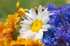 0_461c7_dbc17f7a_orig.jpg