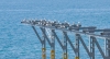 0_461cb_22f1f19e_orig.jpg