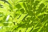 0_461cd_5ba038c2_orig.jpg