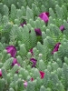 0_b9a90_83416460_orig.jpg