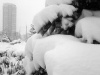 Файл=4_bw.jpg
Объём=85KB
Размеры=800x600
Дата=Янв 06, 2009 4_bw.jpg
